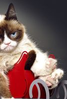 Grumpy Cat’s Worst Christmas Ever