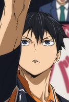 Haikyū !  !  : La Guerre des poubelles