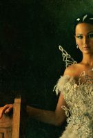 Hunger Games : L’embrasement