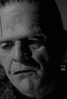Le Fils de Frankenstein