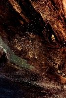 Le Hobbit : la désolation de Smaug