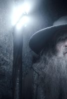 Le Hobbit : la désolation de Smaug