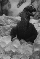 Godzilla Raids Again