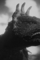 Godzilla Raids Again