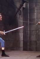 Les Aventures de Robin des Bois