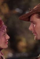 Les Aventures de Robin des Bois