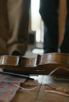 Les musiciens