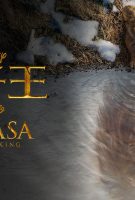 Mufasa : le roi lion