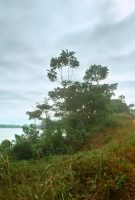 Muganga : Celui qui soigne