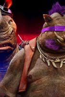 Ninja Turtles 2