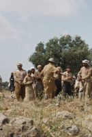 Palestine 36
