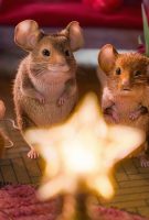 Panique à Noël