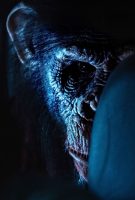 Primate