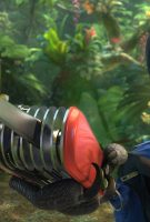 Rio 2