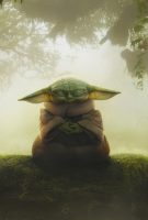 Star Wars : The Mandalorian & Grogu