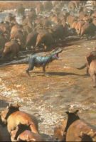 Sur la Terre des Dinosaures