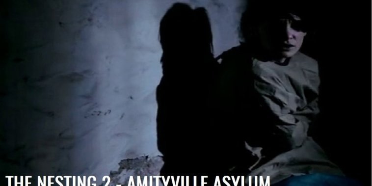 Amityville Asylum