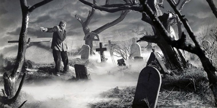 Le Fils de Frankenstein