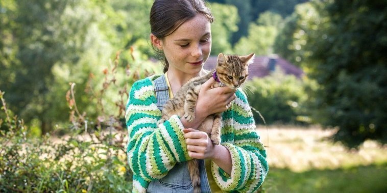Mon chat et moi, la grande aventure de Rroû
