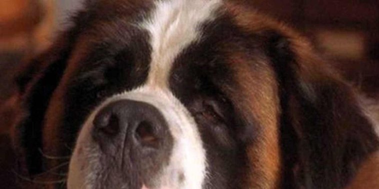 Beethoven 3
