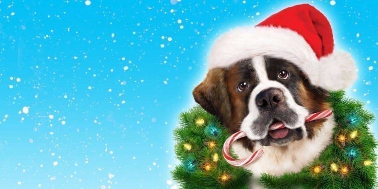 Beethoven sauve Noël