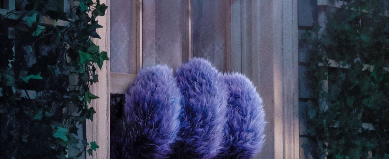 Blue & Compagnie streaming gratuit
