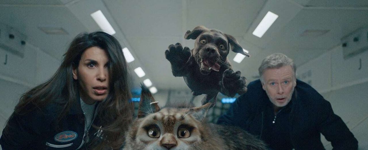 Chien et Chat streaming gratuit