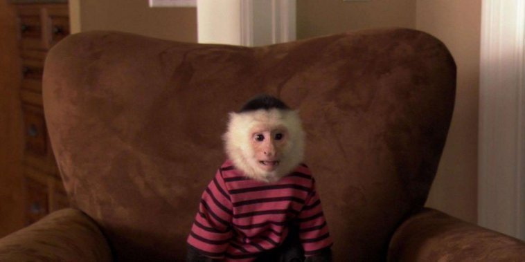 Docteur Dolittle 5