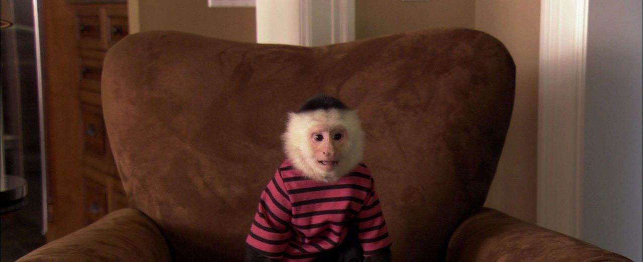 Docteur Dolittle 5 streaming gratuit Docteur Dolittle 5 streaming gratuit