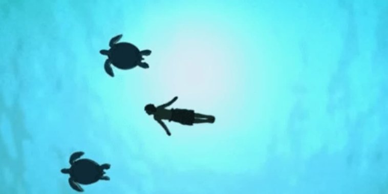 La Tortue Rouge