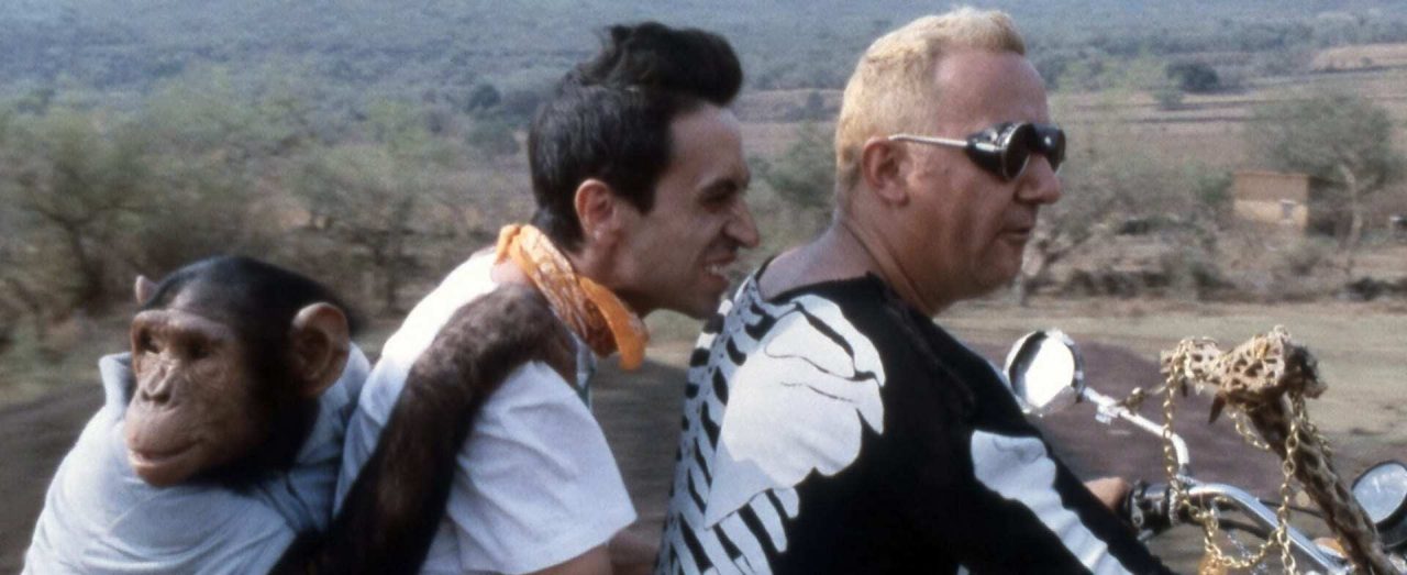La vengeance du serpent à plumes streaming gratuit