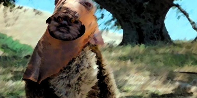 L'Aventure des Ewoks : La Caravane du courage