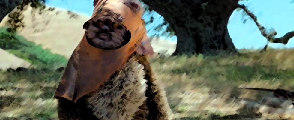 L'Aventure des Ewoks : La Caravane du courage streaming gratuit L'Aventure des Ewoks : La Caravane du courage streaming gratuit