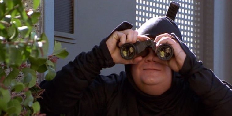 Le Ninja de Beverly Hills