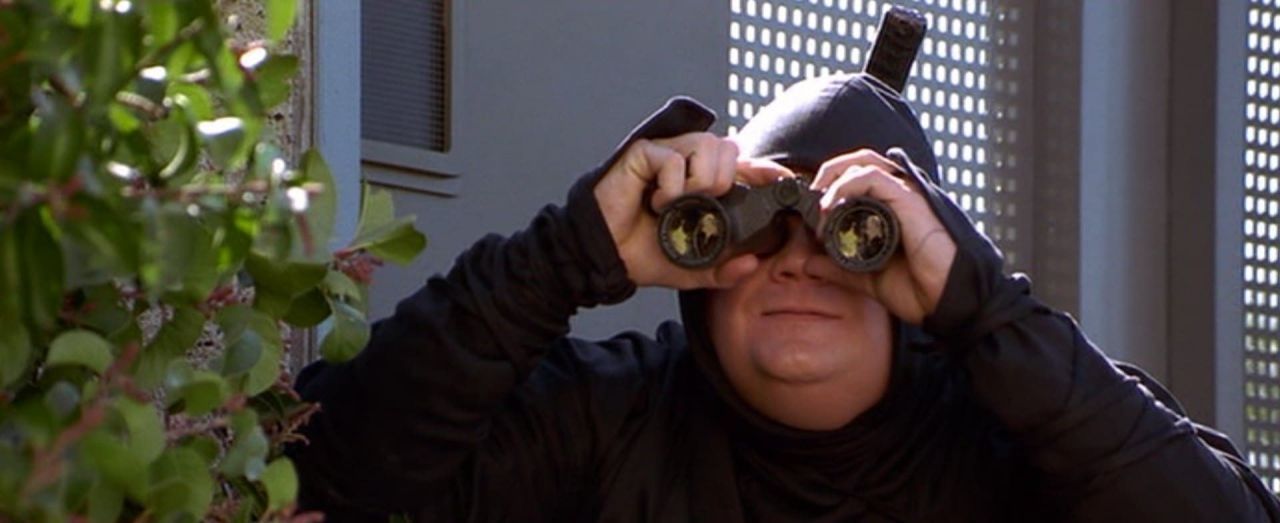 Le Ninja de Beverly Hills streaming gratuit
