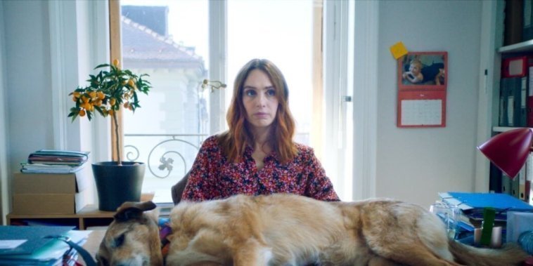 Le Procès du chien