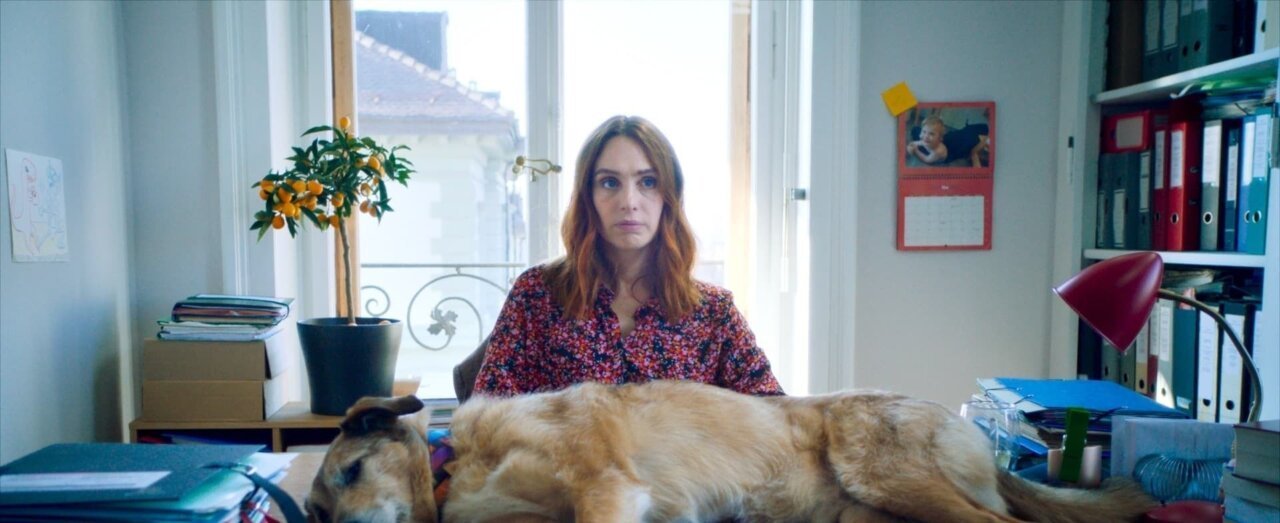Le Procès du chien streaming gratuit Le Procès du chien streaming gratuit