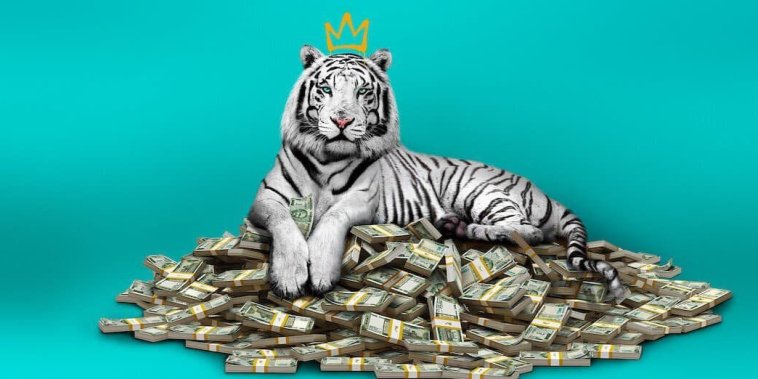 Le tigre blanc