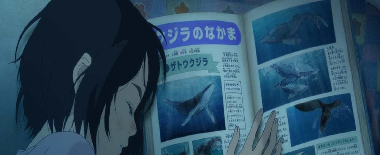 Les Enfants de la mer streaming gratuit