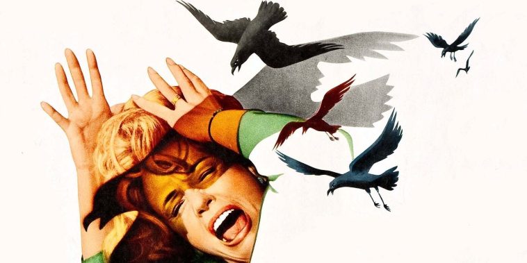 Les Oiseaux
