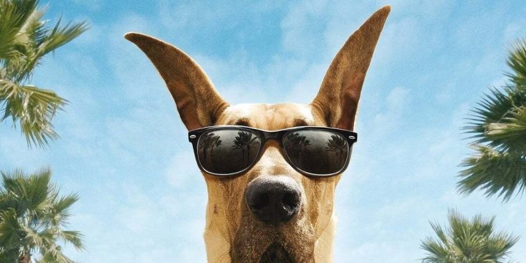 Marmaduke