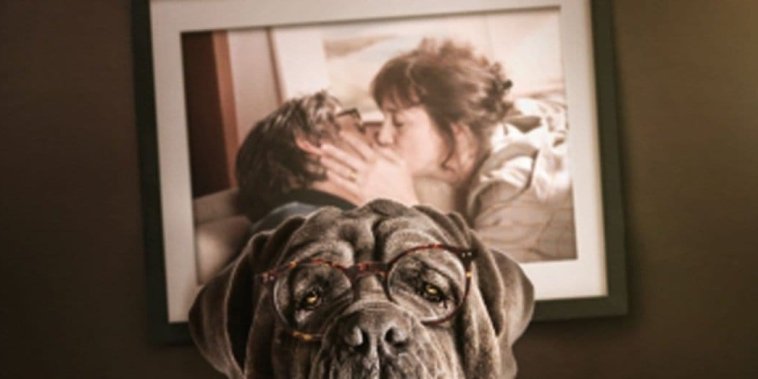 Mon chien stupide