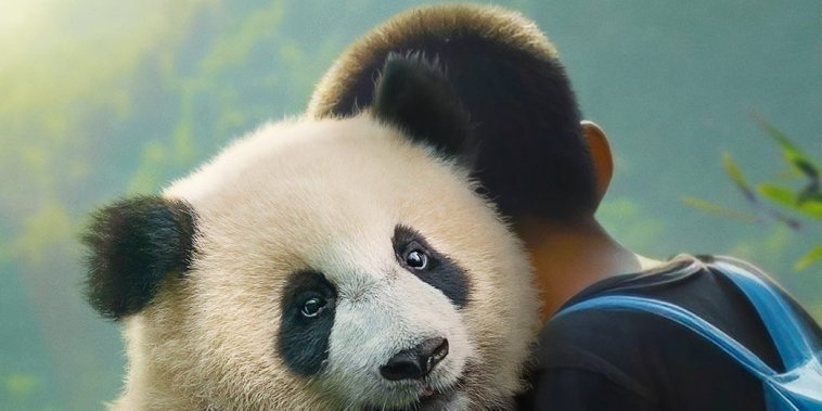 Moon le panda