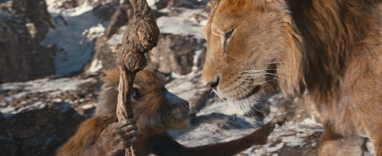 Mufasa : le roi lion streaming gratuit
