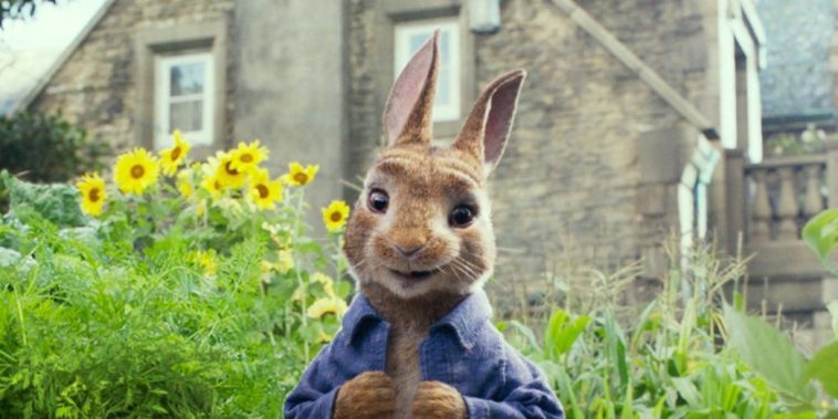 Pierre Lapin