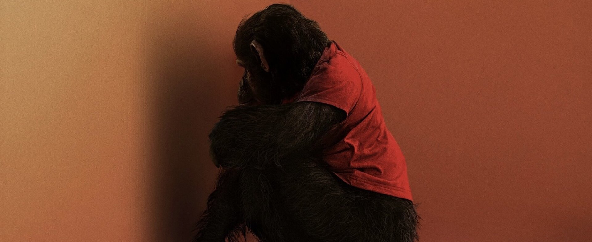 Primate