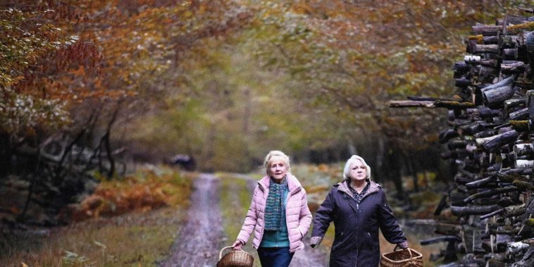 Quand vient l'automne