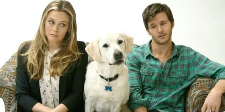 Qui garde le chien ?