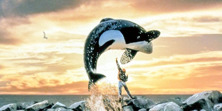 Sauvez Willy
