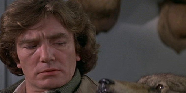 Wolfen